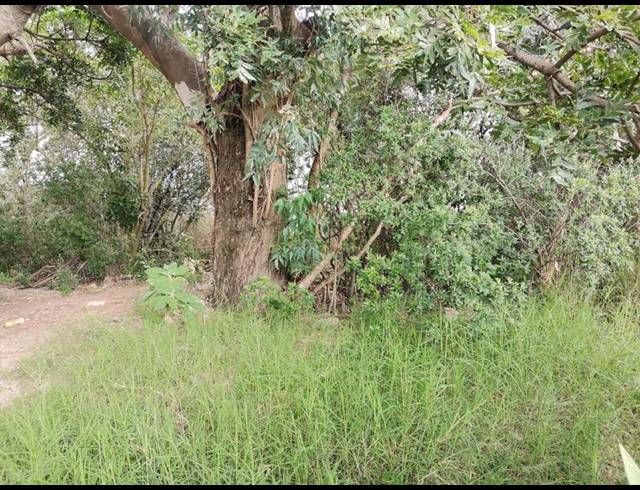 LAND FOR SALE IN WILLOW PARK